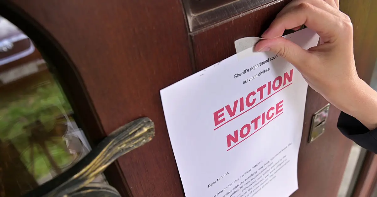 Are small or large landlords more likely to evict?